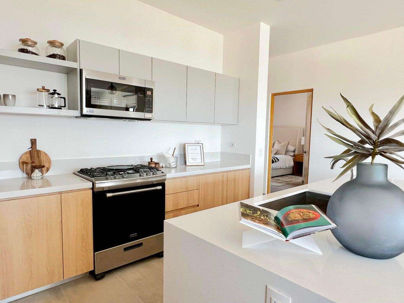 Los Cabos Centro-Sjd Beautiful 3 bedroom, 3 bathroom Penhouse overlooking the San Jose del Cabo Estuary. Prime downtown location , few steps from all the restaurants, shops and art galleries of San Jose. – 271 Parcela, Cabo Corridor, BS